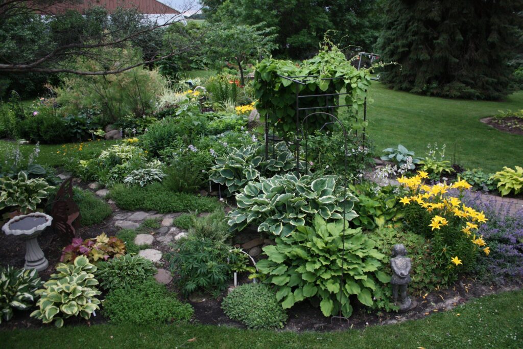23-fern-landscaping-ideas-try-in-2020-a-nest-with-a-yard-ferns-and-...-7360